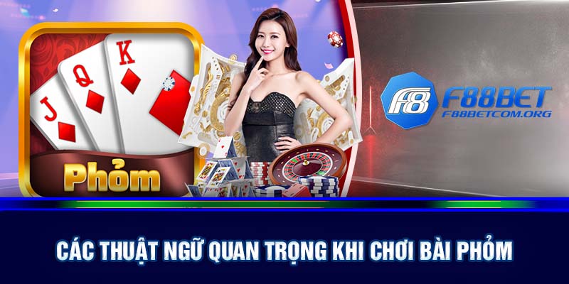 Các thuật ngữ quan trọng khi chơi bài phỏm