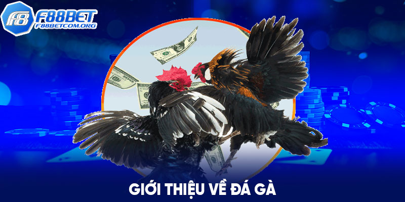 Đá gà F88bet là một trong những trò chơi cá cược hấp dẫn